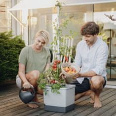 GUSTA GARDEN Hydroponický Květináč pre Rýchlo Rastúce Paradajky - TOM TOMATO