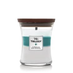 Woodwick ICY WOODLAND - Stredná sviečka 275g