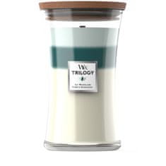 Woodwick ICY WOODLAND - Veľká sviečka 609g