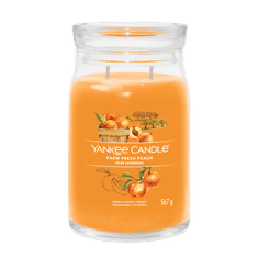 Yankee Candle FARM FRESH PEACH - Veľká sviečka Signature 567g