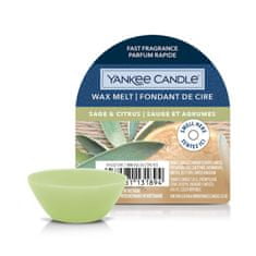 Yankee Candle SAGE & CITRUS - Vonný vosk 22 g