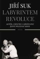 Jiří Suk: Labyrintem revoluce - Aktéři, zápletky a křižovatky jedné politické krize