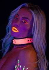 taboom Taboom Glow In The Dark Collar & Chain Leash obojok s vodítkom