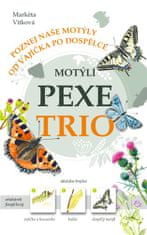 Markéta Vítková: Motýlí pexetrio - Poznej naše motýly od vajíčka po dospělce