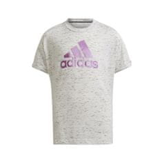 Adidas Tričko výcvik sivá S Future Icons
