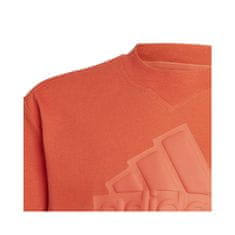 Adidas Tričko výcvik hnedá M FI Logo Tee JR