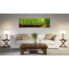 Falc Obraz na plátne Panoráma, Bambus, 158x46cm
