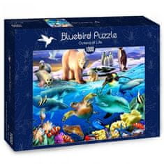 Blue Bird Puzzle Oceán života 1000 dielikov