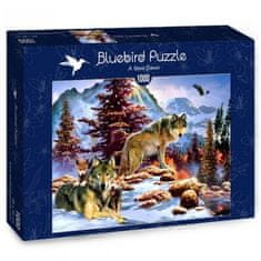 Blue Bird Puzzle Nový úsvit 1000 dielikov