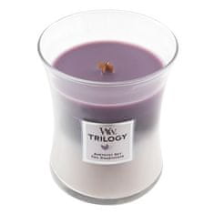 Woodwick Sviečka Trilogy , Ametystové nebo, 275 g