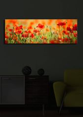 Hanah Home Obraz s led osvetlením Sean 90x30 cm