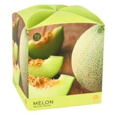 Arôme Vonná svíčka 90 g Melon