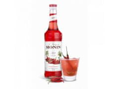 MONIN Korenený/Spicy sirup 0,7 L