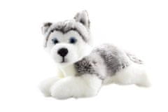 Plyš Husky ležiaci 23 cm - ECO-FRIENDLY