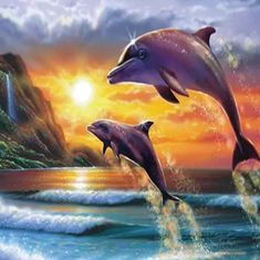 Gaira® Diamantové maľovanie Delfíny D1048