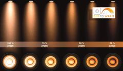LUCIDE Stropné LED svietidlo Preston Gold 2x5W/2200K/3000K