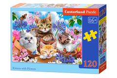 Castorland Puzzle Mačiatka s kvetinami 120 dielikov