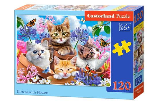 Castorland Puzzle Mačiatka s kvetinami 120 dielikov