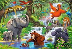 Castorland Puzzle Jungle 40 MAXI dielikov