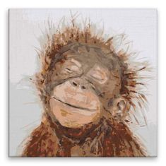 Malujsi Maľovanie podľa čísel - Zasnený šimpanz - 40x40 cm, plátno vypnuté na rám