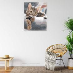 Malujsi Maľovanie podľa čísel - Mačka v posteli - 80x100 cm, plátno vypnuté na rám