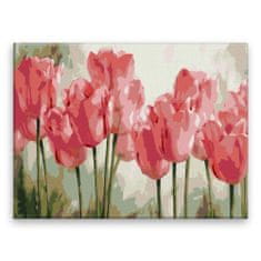 Malujsi Maľovanie podľa čísel - Ružové tulipány - 80x60 cm, plátno vypnuté na rám