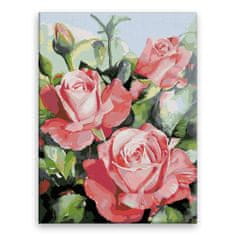 Malujsi Maľovanie podľa čísel - Rozkvitnuté ruže - 30x40 cm, bez dreveného rámu