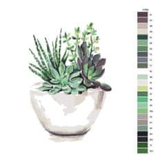 Malujsi Maľovanie podľa čísel - Succulent - 40x40 cm, bez dreveného rámu