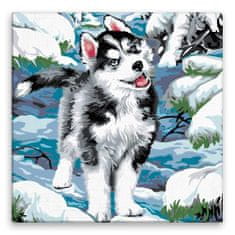 Malujsi Maľovanie podľa čísel - Husky - 80x80 cm, plátno vypnuté na rám