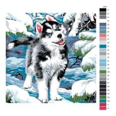 Malujsi Maľovanie podľa čísel - Husky - 80x80 cm, plátno vypnuté na rám