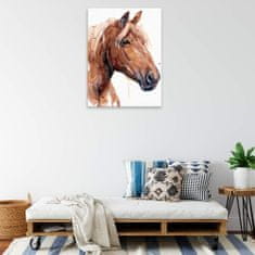 Malujsi Maľovanie podľa čísiel - pohľad na koňa - 30x40 cm, bez dreveného rámu