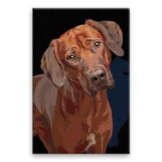 Malujsi Maľovanie podľa čísel - Psie oči - 80x120 cm, bez dreveného rámu
