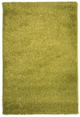 monoCarpet Kusový koberec Efor Shaggy 1903 Green 80x150