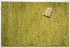 monoCarpet Kusový koberec Efor Shaggy 1903 Green 80x150