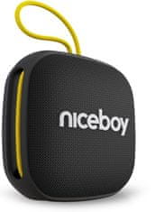 Niceboy RAZE Mini 4