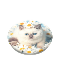 PopSockets PopTop Gen.2, Purr-fect Flower, mačiatko v margarétach, výmenný vršok