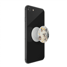 PopSockets PopTop Gen.2, Purr-fect Flower, mačiatko v margarétach, výmenný vršok