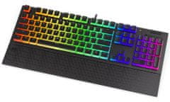 Endorfy herná klávesnica Omnis Pudd.Kailh BL RGB /USB/ blue switch / drôtová / mechanická / US layout / čierna RGB