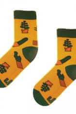 Amiatex Dámske ponožky 80 Funny cactus + Nadkolienky Gatta Calzino Strech, žltá, 35/38