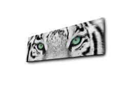 ASIR GROUP ASIR Obraz na plátne s LED podsvietením BIELY TIGER 30 cm