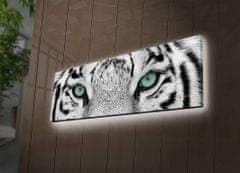 ASIR GROUP ASIR Obraz na plátne s LED podsvietením BIELY TIGER 30 cm