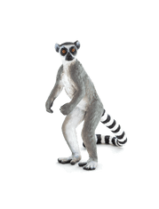 MOJO Lemur kata