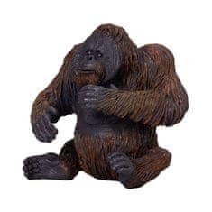 MOJO Orangutan