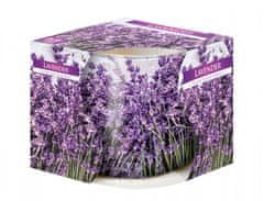 eoshop Sviečka v skle LAVENDER 100g