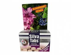 eoshop Hnojivo SILVA TABS na čučoriedky 250g 25 tablet