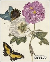 Daniel Kiecol: Maria Sibylla Merian