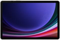 SAMSUNG Galaxy Tab S9 5G, 8GB/128GB, Gray