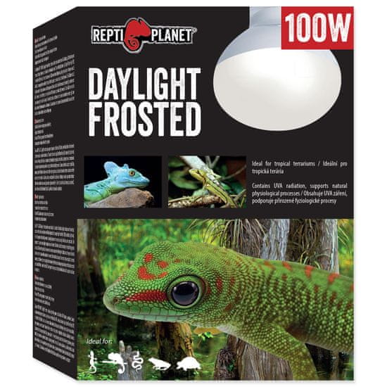 REPTI PLANET Žárovka Daylight Frosted 100 W