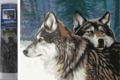Norimpex Diamantové maľovanie Vlci v zime 30x40cm