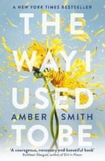 Amber Smith: The Way I Used to Be